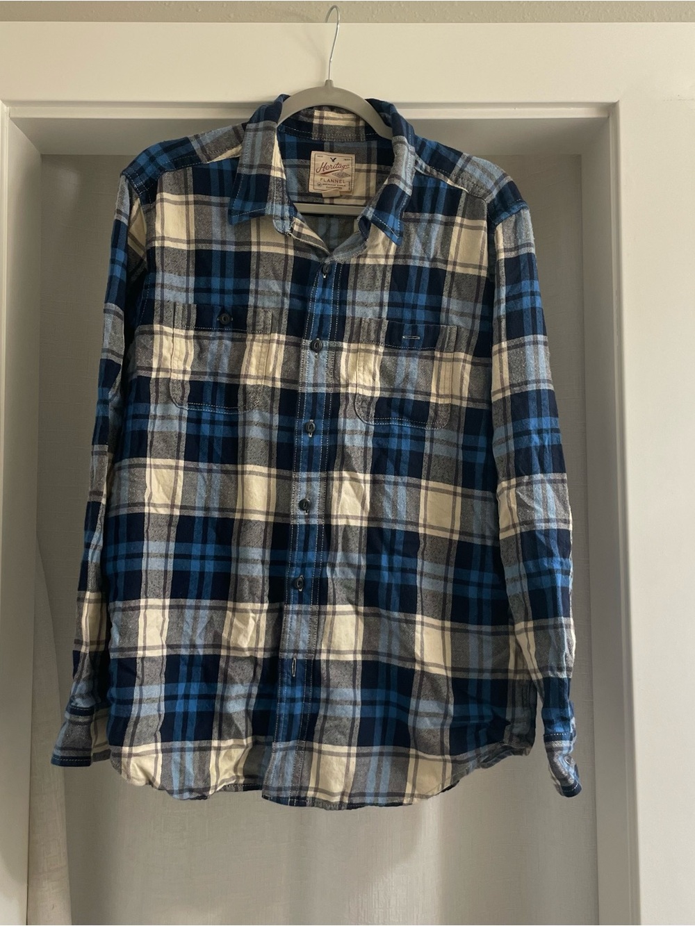American Eagle Outfitters Blue and White Plaid Button-Down Shirt